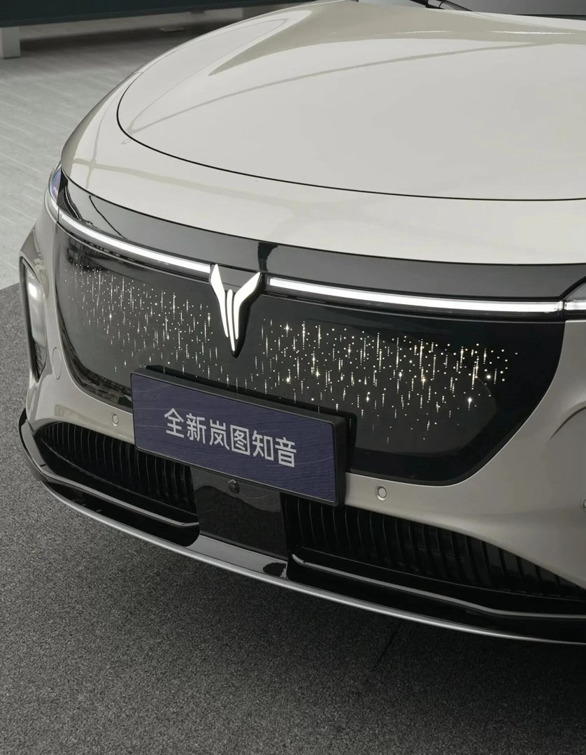 岚图知音岚图知音的市场表现挺有说服力的，上市短时间订单和销量持续走高，武汉单城月