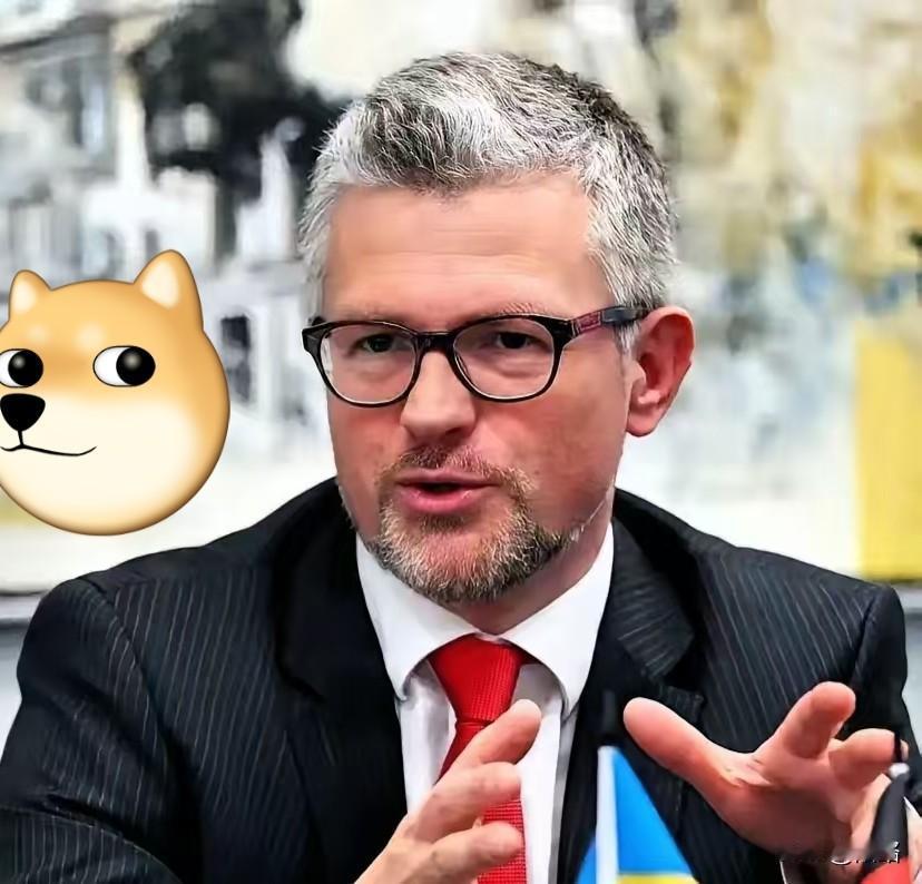 联合国讲台上，又上演了一出荒唐戏码！乌克兰大使指着各国代表鼻子放狠话：谁投弃权票