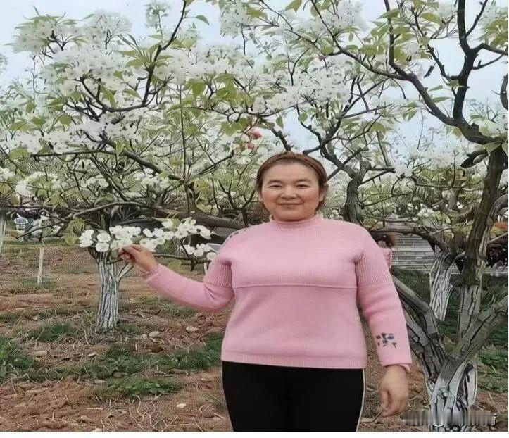 洋州九年制学校 | 躬耕教坛育桃李 潜心执教铸师魂
李明侠，本科学历，一级英语教