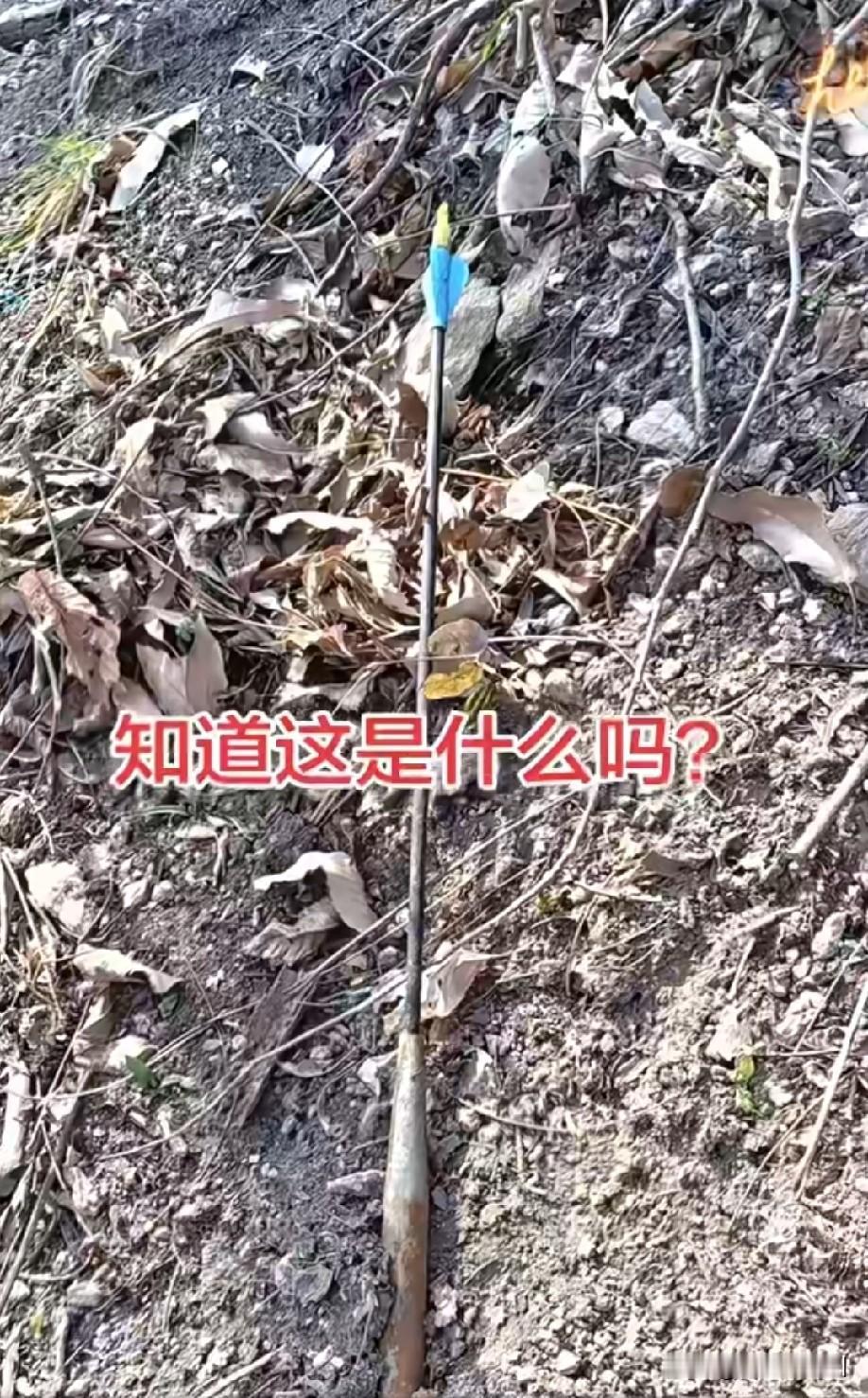 无人机弩箭[what]