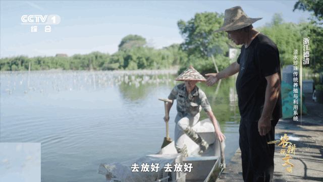 珍珠蚌也会拉肚子  河蚌加餐喝豆浆长出的珍珠会更好看 珍珠蚌虽小，却有着脆弱的肠