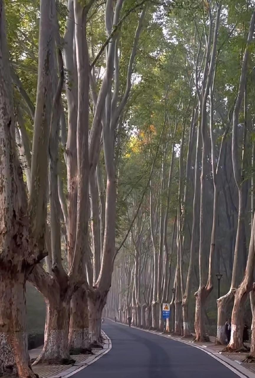 张雪峰去世让很多人现在谈跑色变，这是没有必要的，也是没有道理的。
       