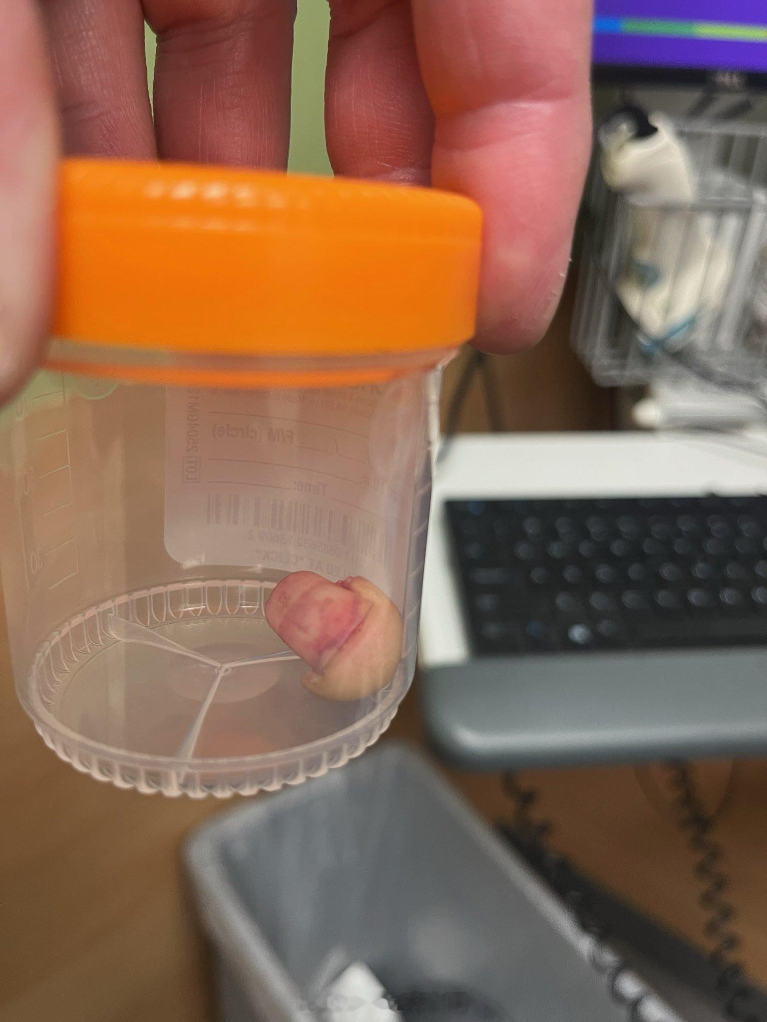 国土安全部发言人Tricia McLaughlin发帖：“在明尼阿波利斯，这些暴