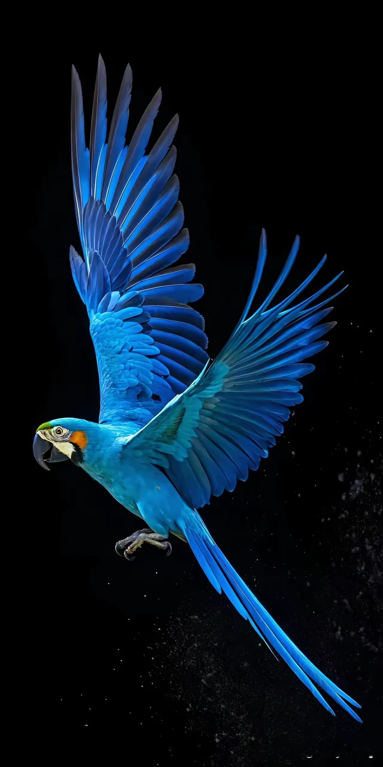 人生在世，总有些事做不成，很多人会为此懊恼。其实这说不定是老天在保护你呢！

弘