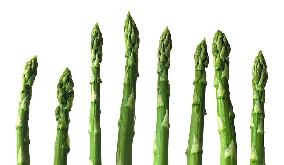 紫芦笋｜颜值与营养双在线，比绿芦笋更鲜甜！
 
见过紫色的芦笋吗？紫芦笋不仅颜值