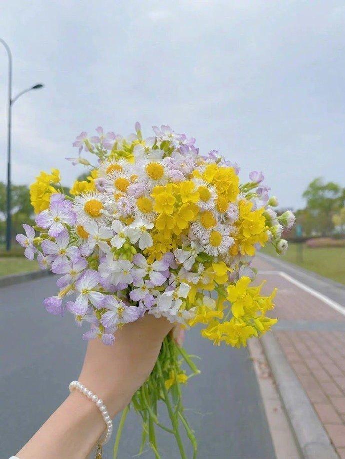 长寿的四大秘诀：拍照心情好，花钱抗衰老；打牌练头脑，购物身体好。 ​ ​​​​