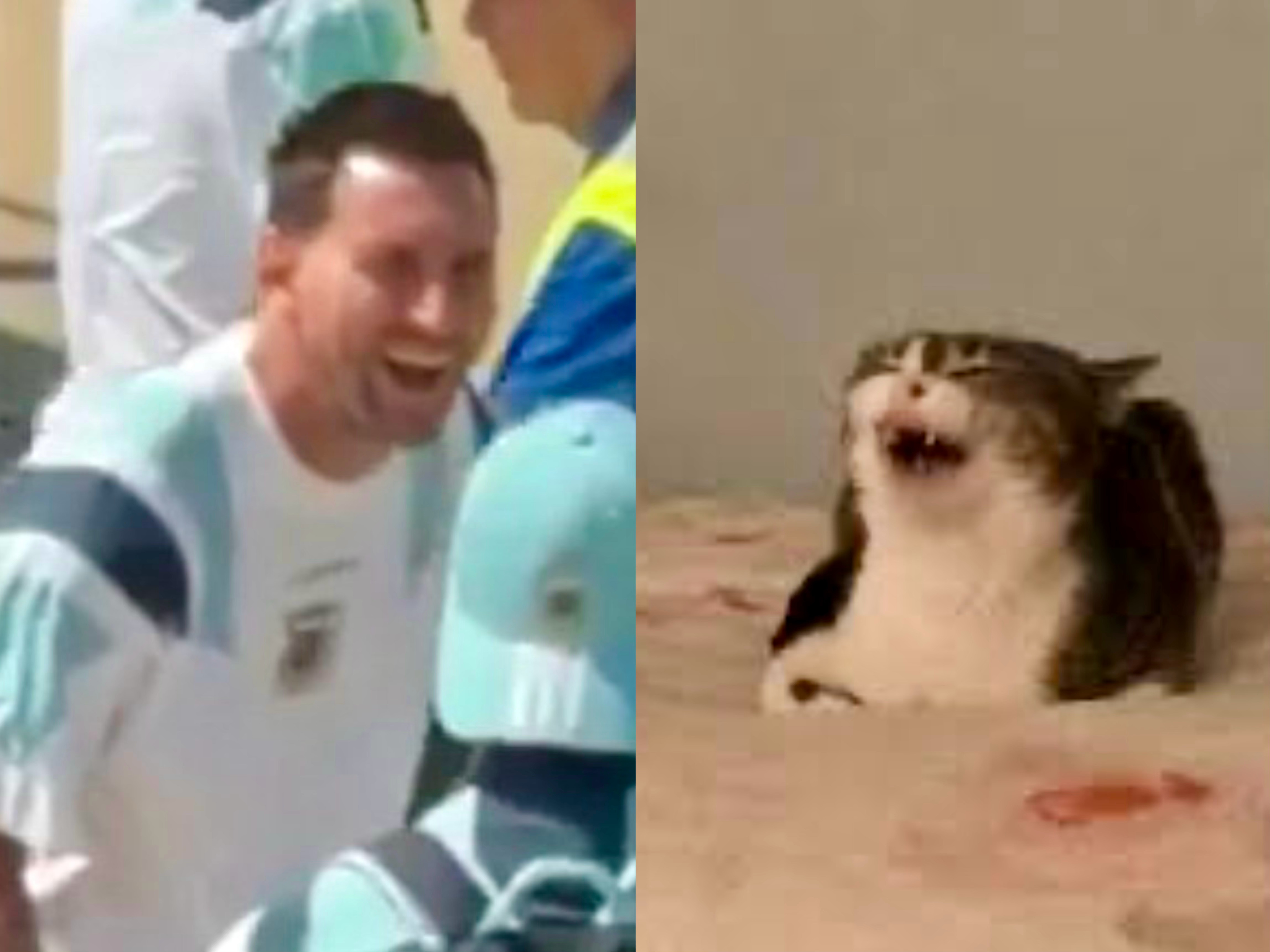 梅西  抓住一只看热闹不嫌事儿大的八卦猫咪🐱，他当时在无情嘲笑cuti带的打火
