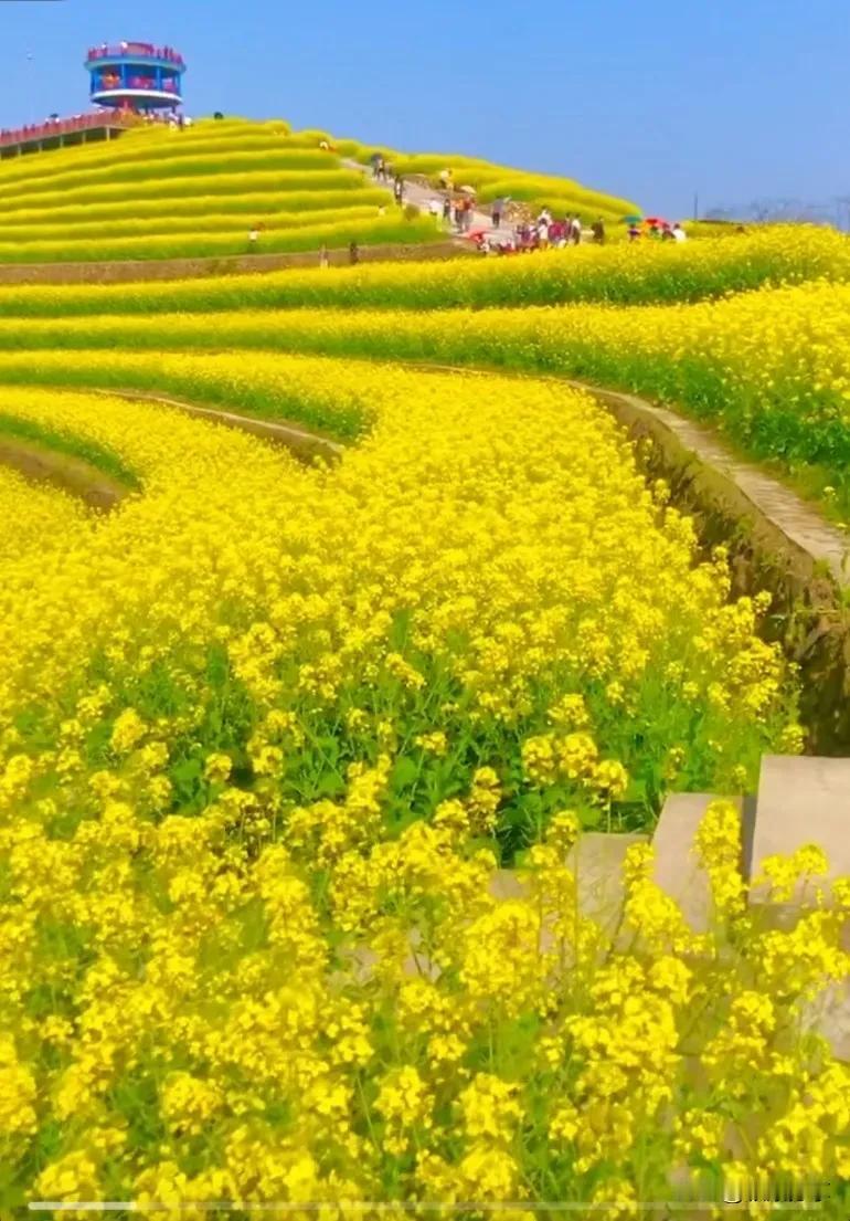 1. 春天，是大自然的一场华丽演出。山峦渐绿，万花绽放，世界仿佛被染上了五彩斑斓