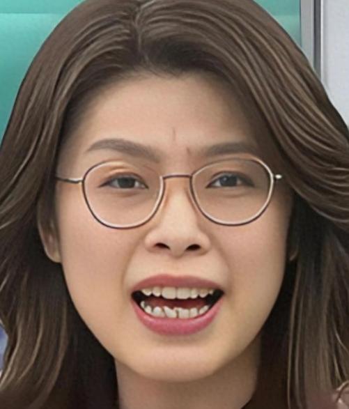 郑丽文曾公开喊话大陆：请大陆的一些朋友不要对台湾喊打喊杀

郑丽文最近对大陆说了