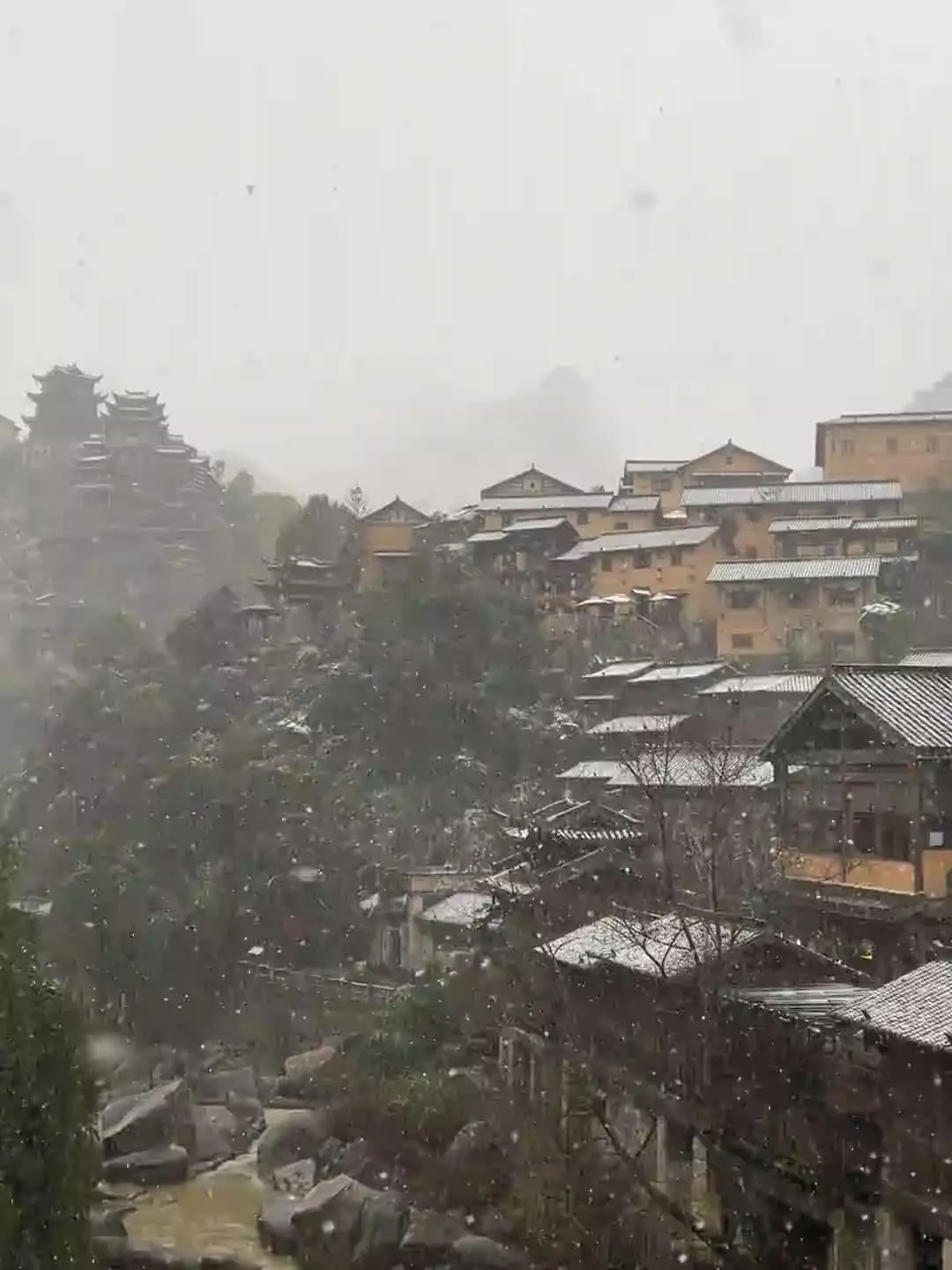 那年红雪冬青一水袖丹衣.