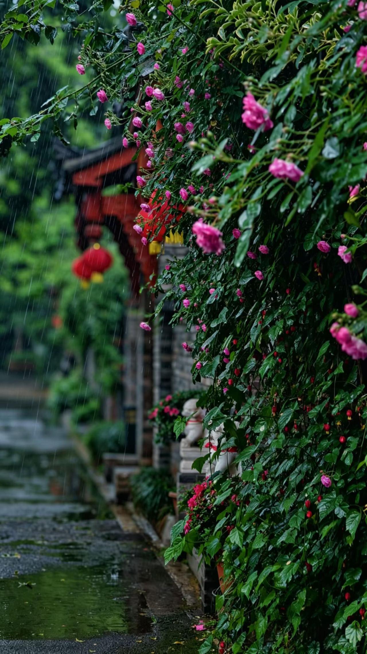 没有花的春光黯然失色，没有爱的生命无趣苍白，而这流年似水匆匆过，每天都要尽量去活