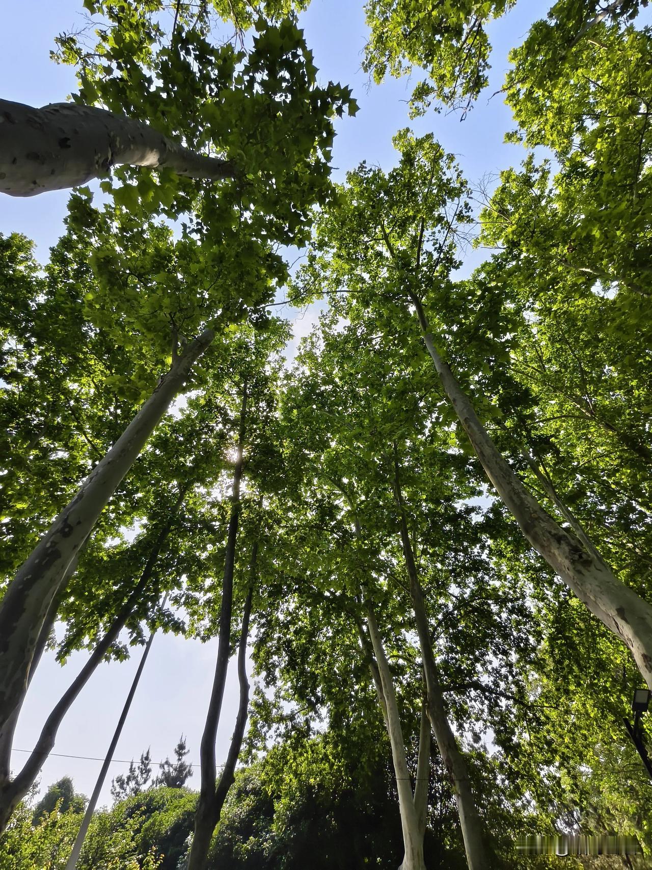 我最近一写头条，靠的就是睡前的灵机一动。

每天不写一点，觉得少点啥，白天要么没