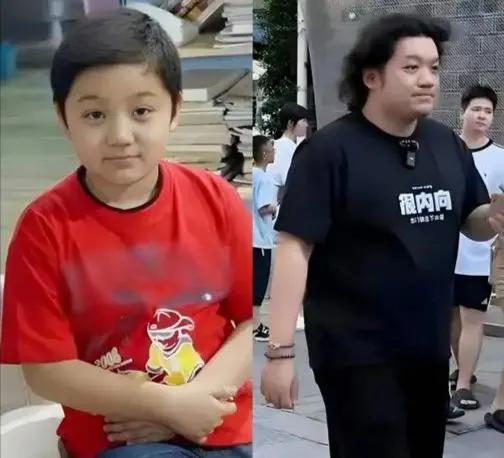 小时候看《家有儿女》，总觉得刘星旁边那个圆乎乎的小雨是永远的萌娃。谁能想到，当年