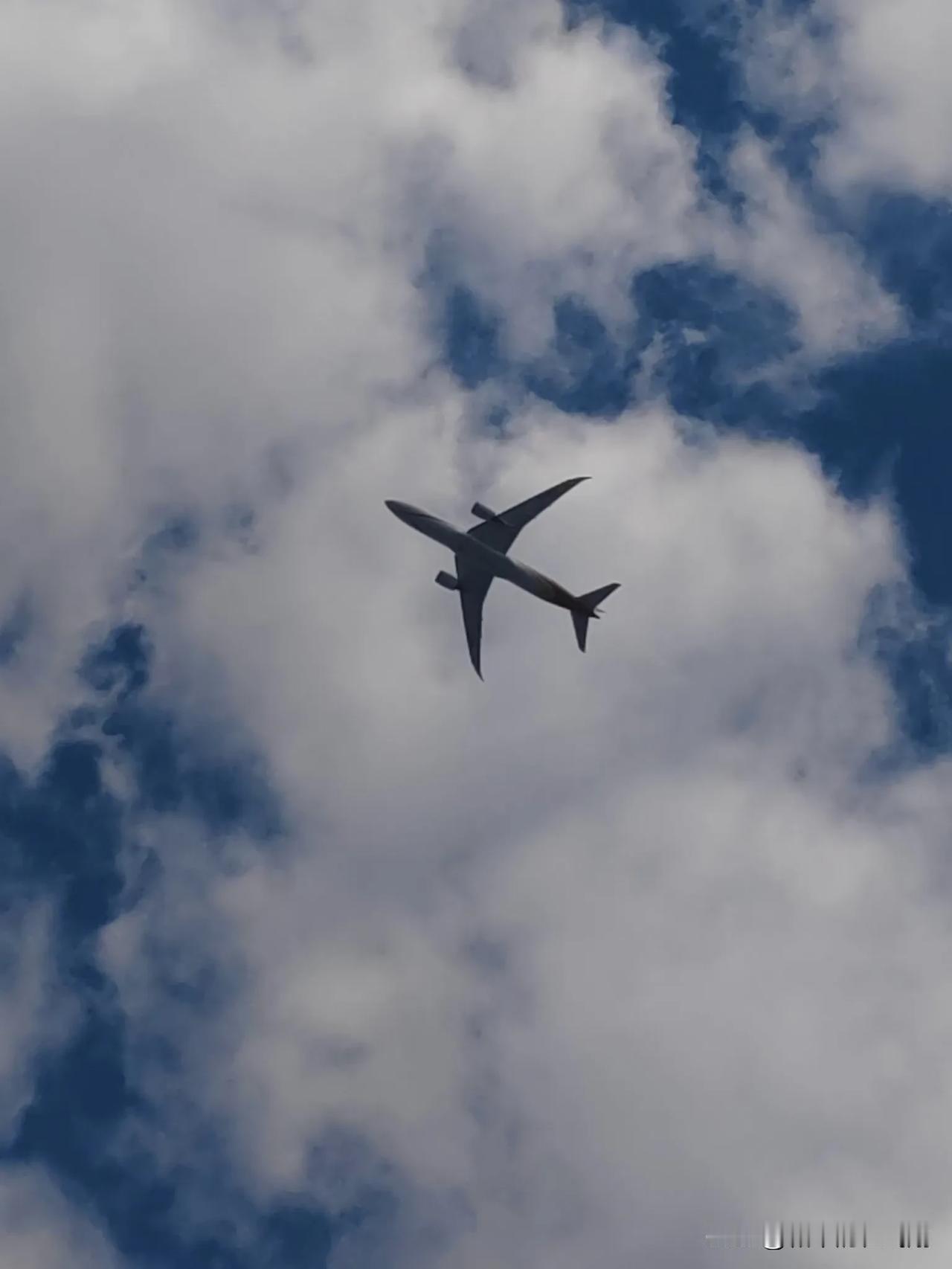 在深圳人才公园看飞机✈️
深圳人才公园美景随拍爆料