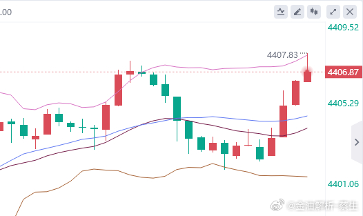 黄金参考现价：4407多，防守4401，目标看百点 ​​​