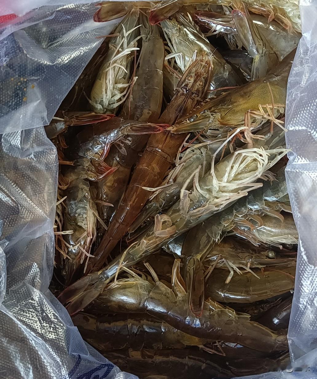 目前，我们葫芦岛的新鲜海货有大虾、虾爬子、大头宝鱼、扇贝、海虹、还有虾怪等。
然