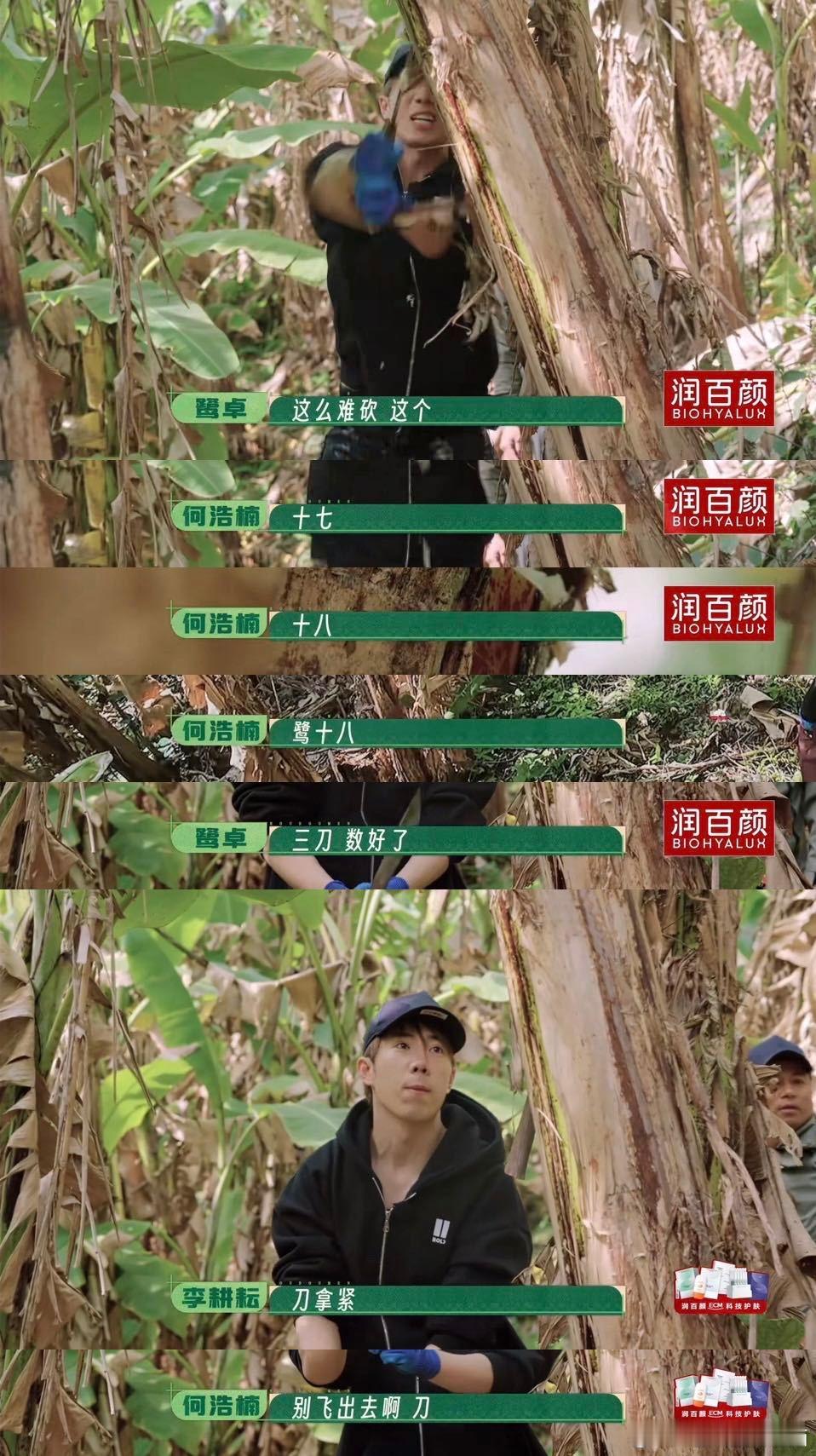 终于知道鹭卓为什么叫鹭十八了谁懂种地吧的名场面有多经典，别人砍香蕉都是利落干脆纯