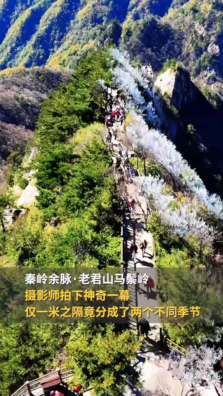神奇的老君山分水岭，南北分界线在此刻具象化。
秦岭余脉·老君山马鬃岭，摄影师拍下