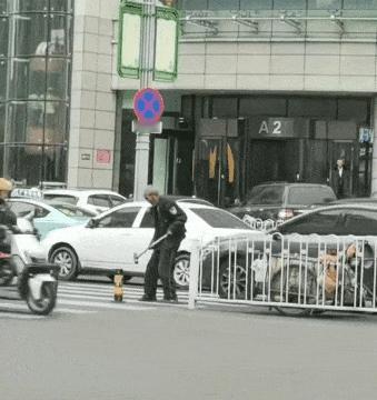 大爷：运气真不错，一出门就拾获了“野生铁块”