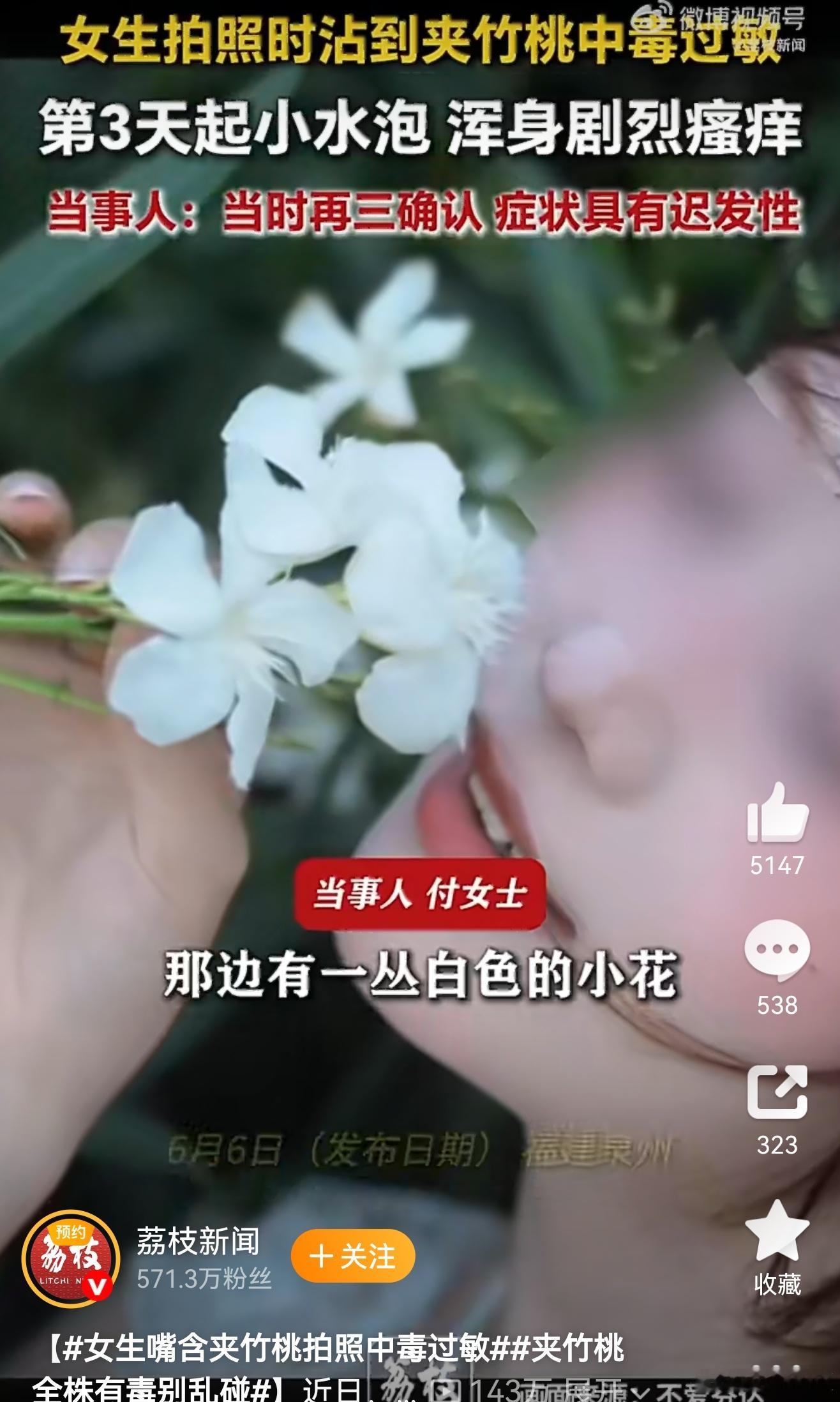 女生嘴含夹竹桃拍照中毒过敏虽然甄嬛传教过我们夹竹桃有毒但是应该很多人不认识这东西