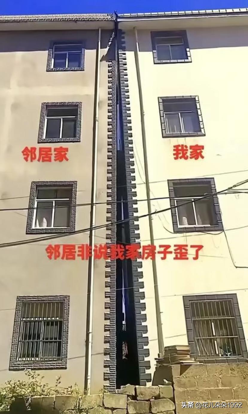 别管谁家歪了，反正又扶不直，就这么相依为命吧。