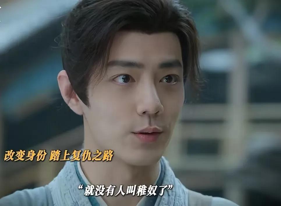 《藏海传》稚奴为了复仇改名藏海，藏海骨子里透着疯狂，他了解杨真的弱点，借着他人的