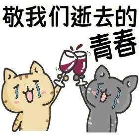 那时候我们年轻，有的是时间和力量，如今想起来心里也挺难受的。