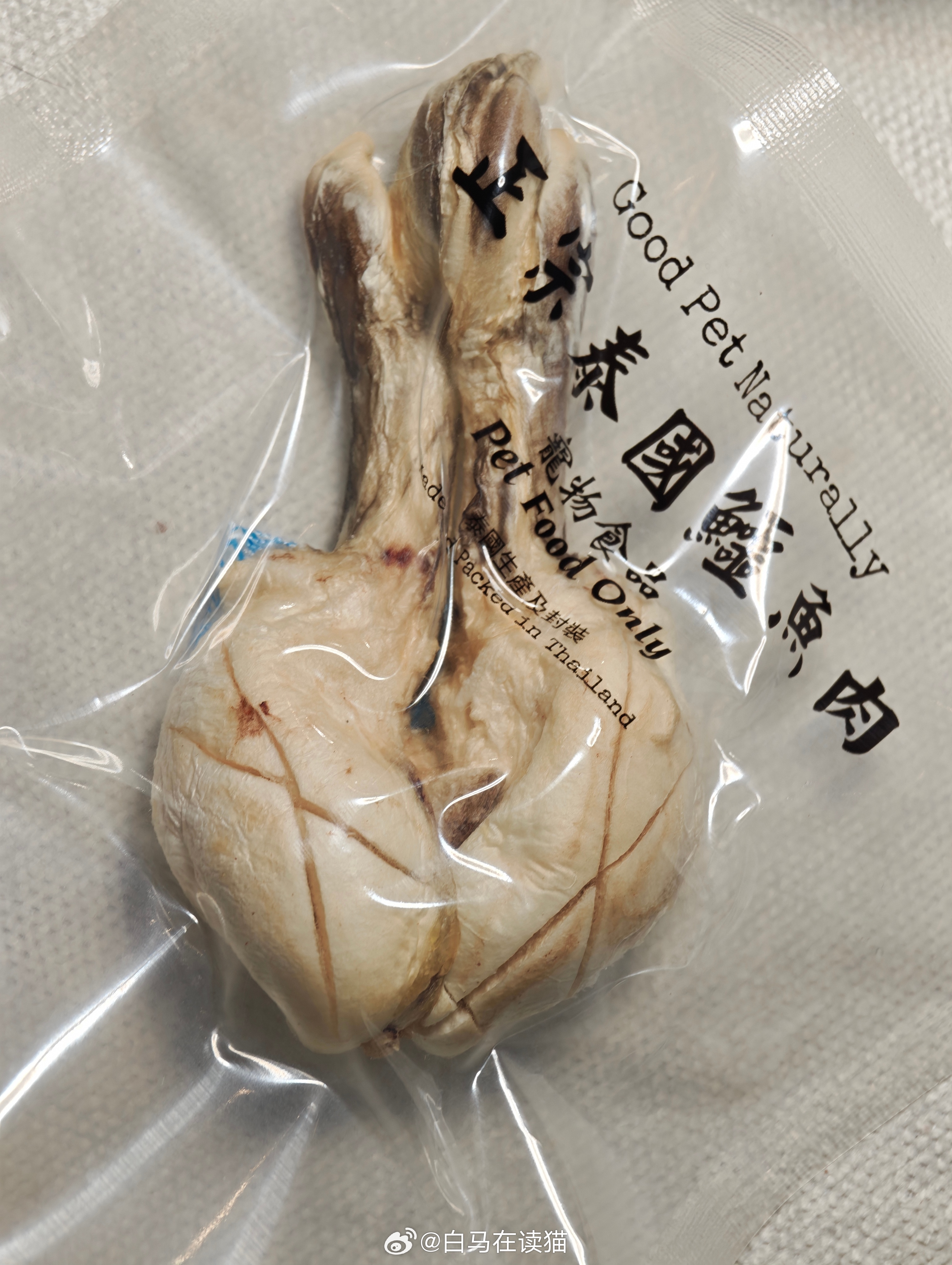 鳄鱼丁丁的冻干