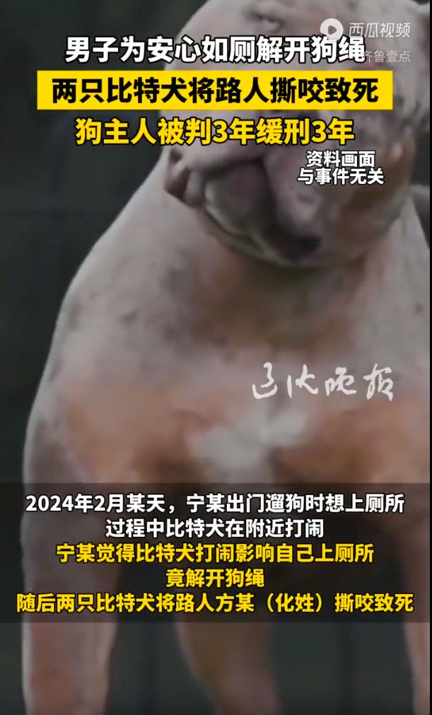 重庆彭水，一名男子违规饲养极具攻击性的比特犬，外出遛放时，为了方便自己上厕所，就