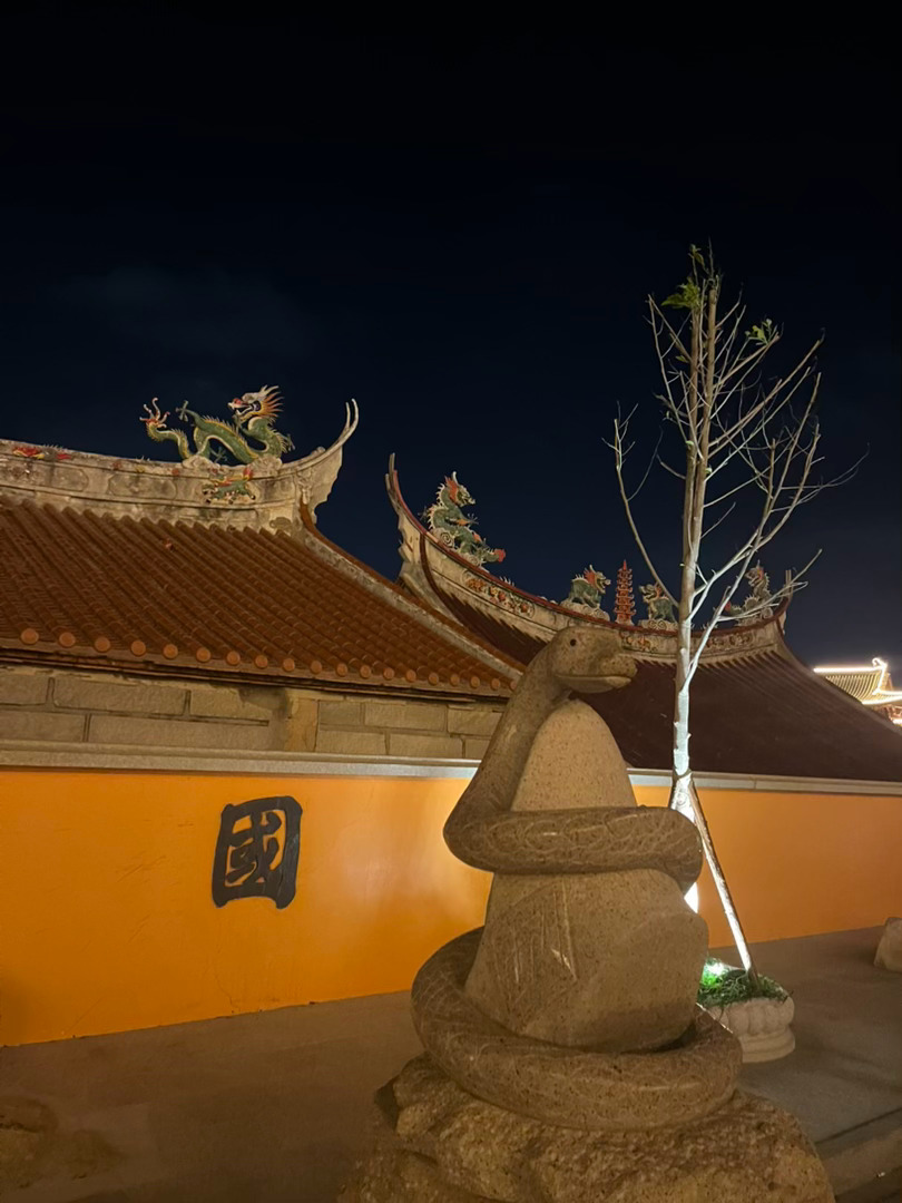今日收益6.66 扶我起来。 我还可以继续卷！发烧算什么？ 昨晚我梦里发烧50 