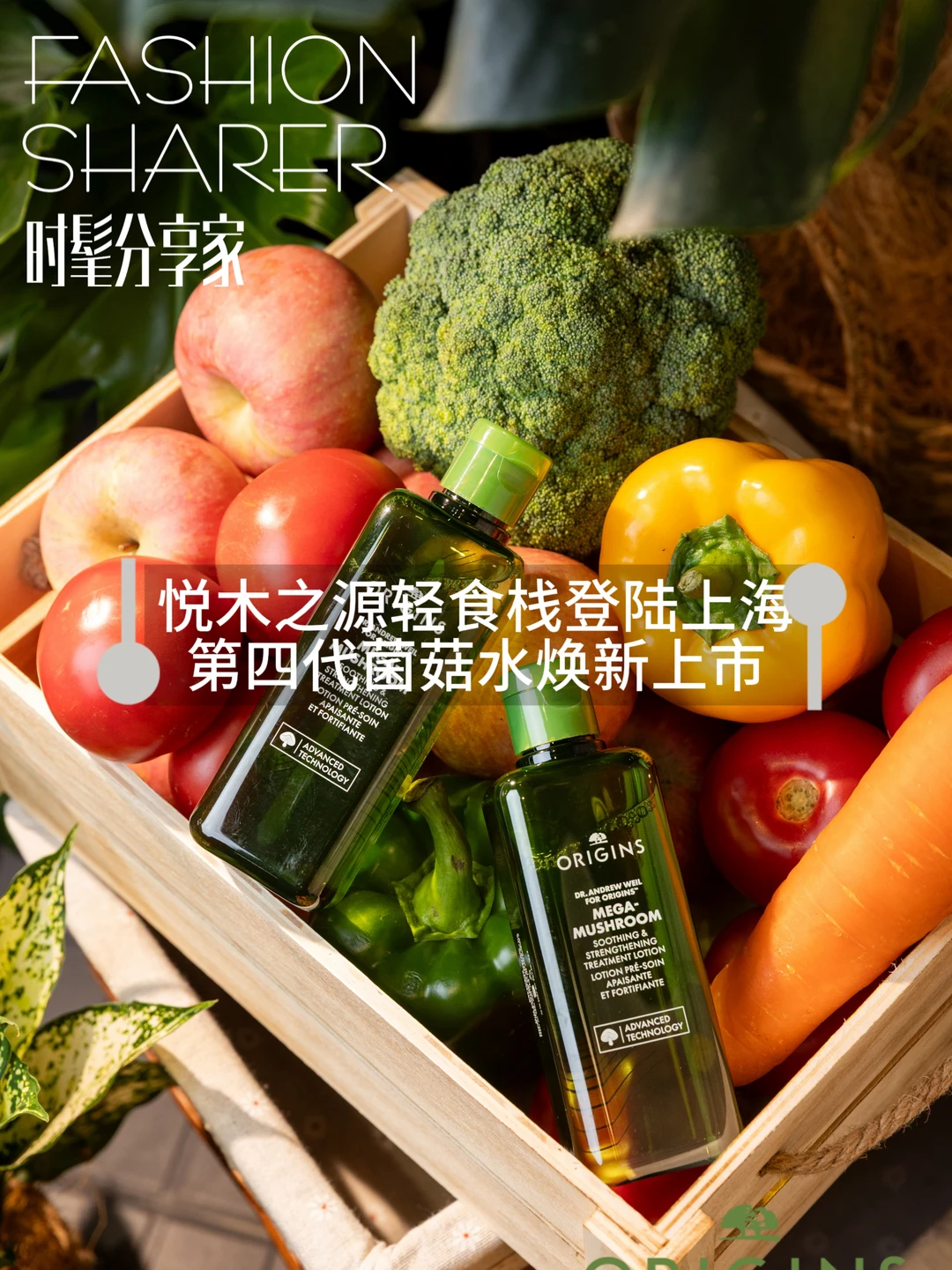 悦木之源轻食栈登陆上海