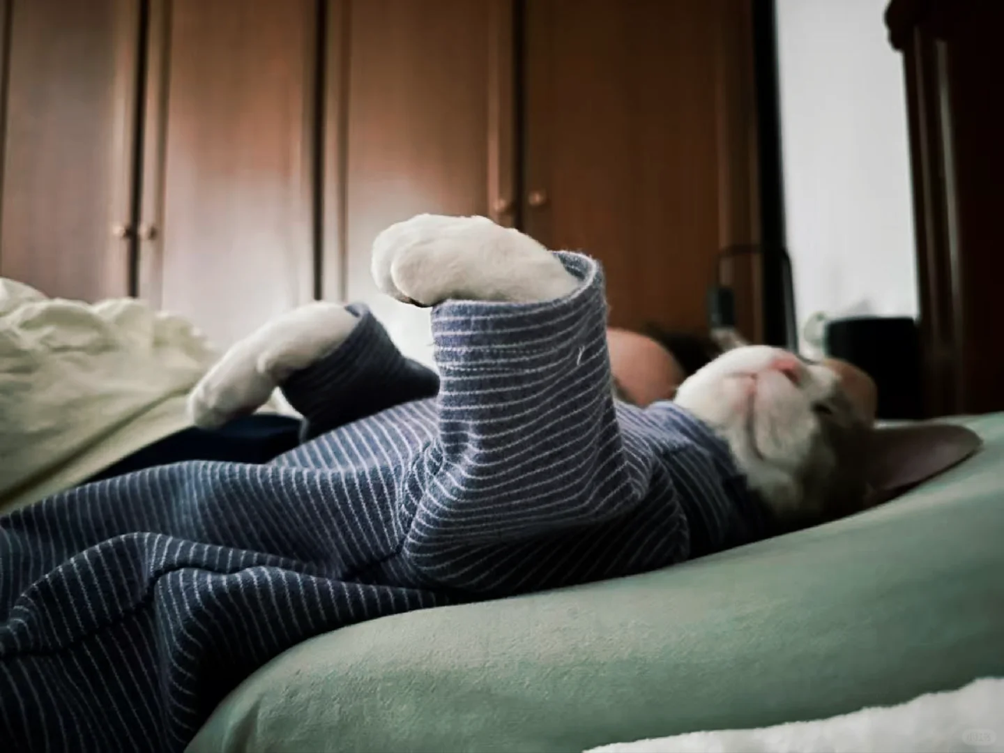 只有我一个人在承受德文臭屁攻击么