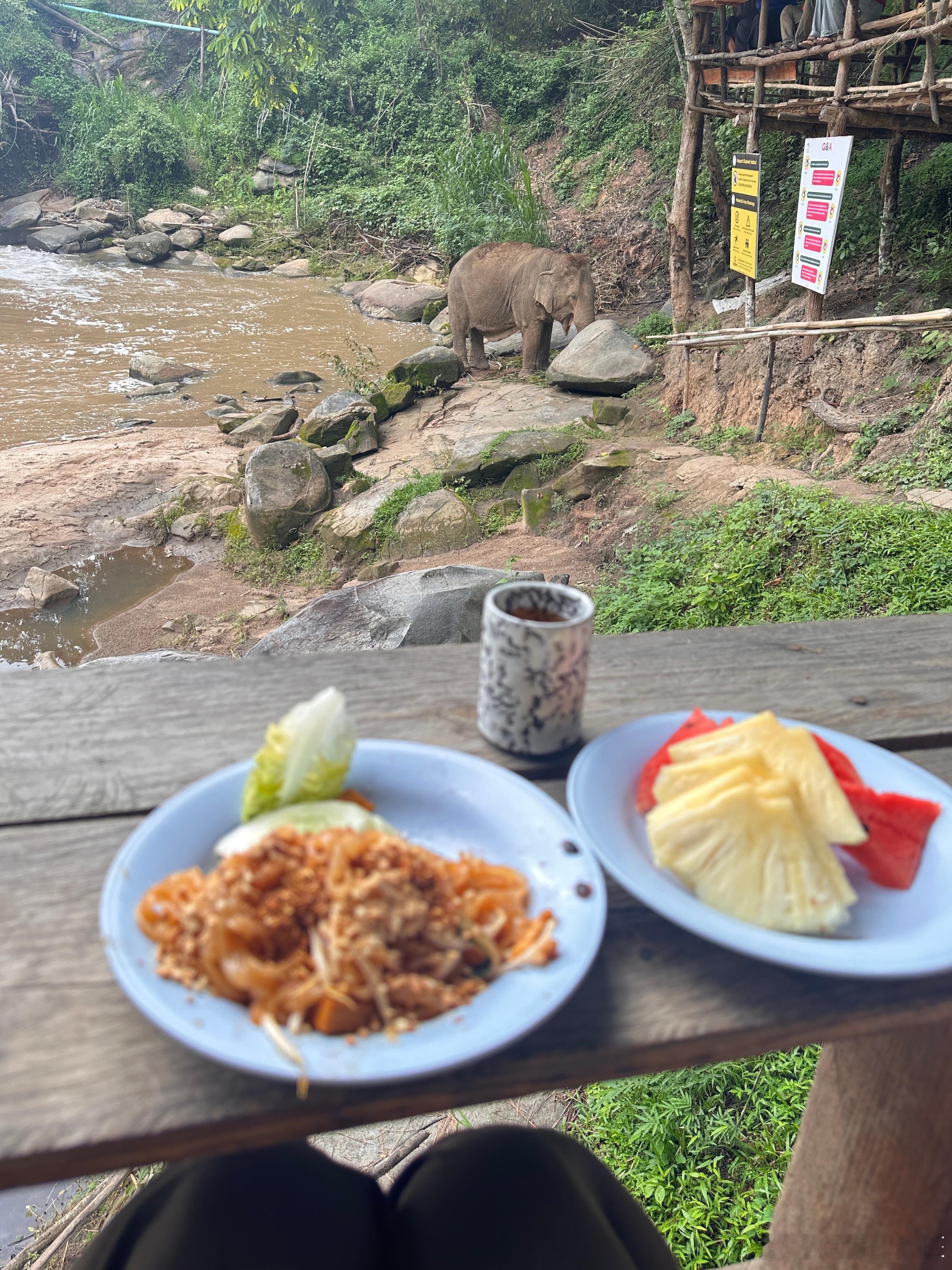 象，或许你想尝一下Pad Thai吗 