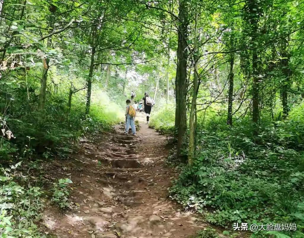 硬核人生：钱、健康、实力，缺一不可

今儿咱们不聊那风花雪月的闲情逸致，也不谈那