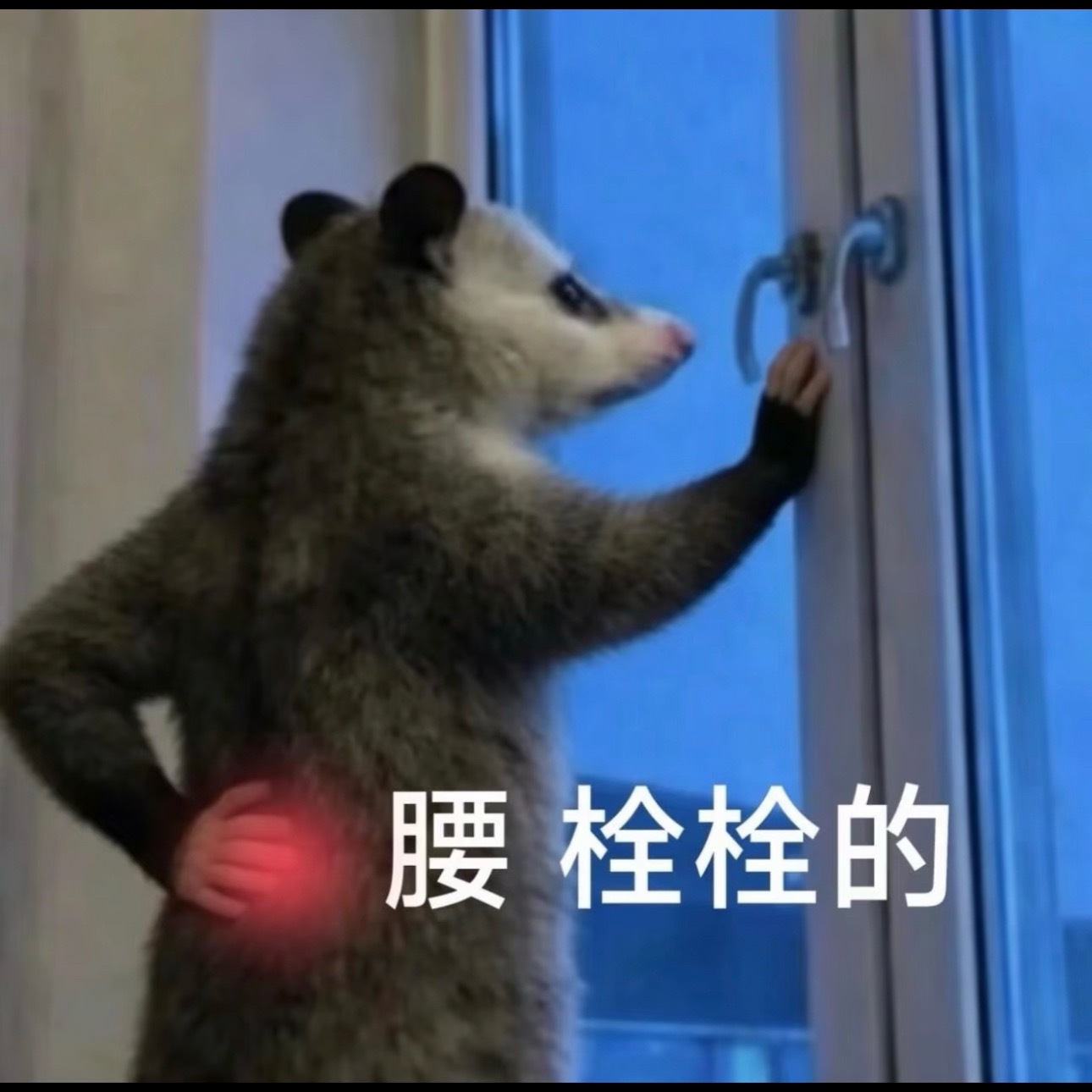 我有点法不过来了一整晚看了老婆几百套造型 