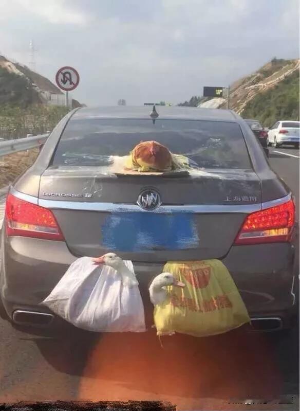 电脑又出问题了，停更几天[泣不成声]