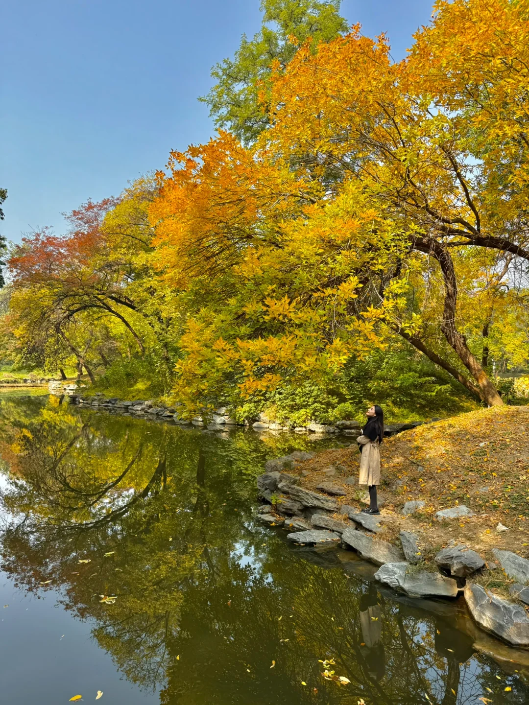 10.12实况live |圆明园秋天美的像一幅画