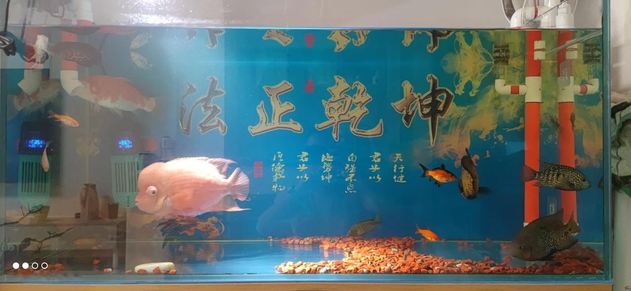 实习律师第169天
        守时是实习律师的必要素养。
        
