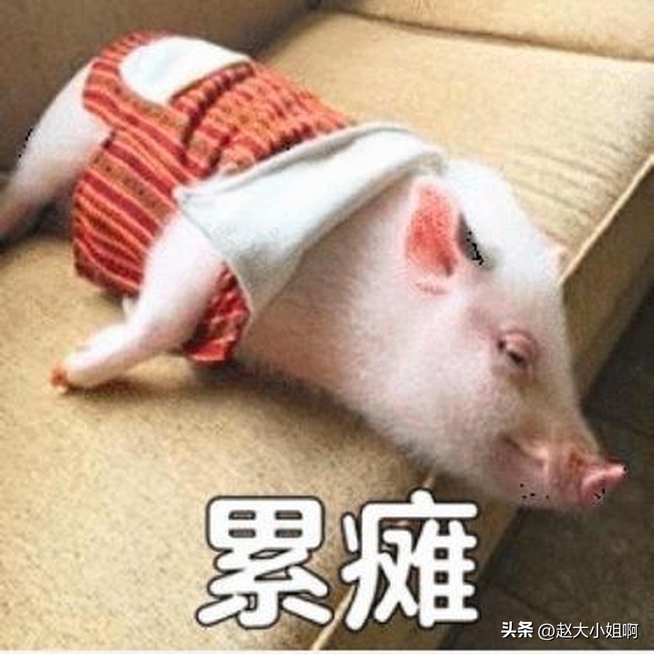 有100万存款,还有必要努力吗? 有人说：“等我拥有10万块时我就心满意足了。”
