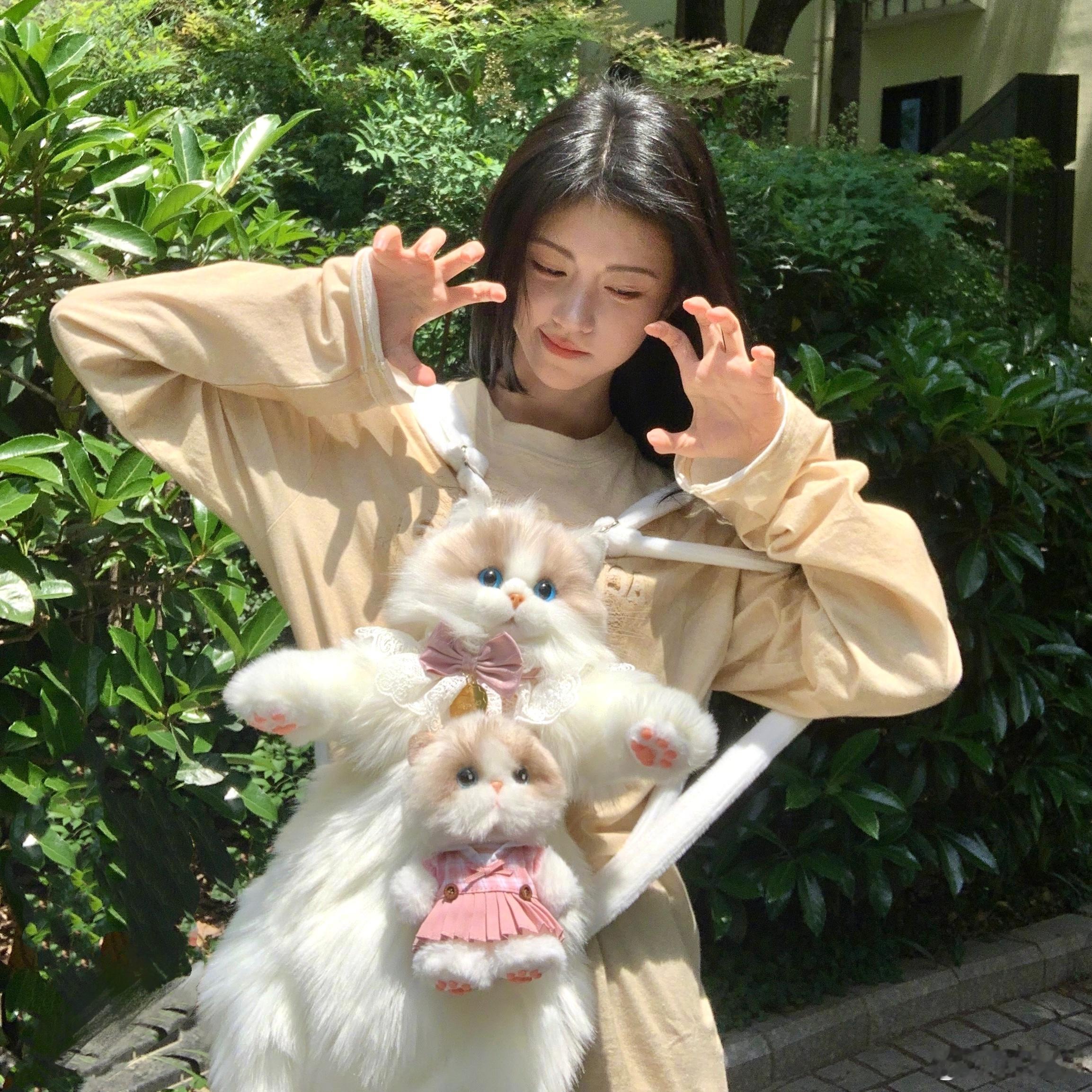 这里有三只小猫 ​​​