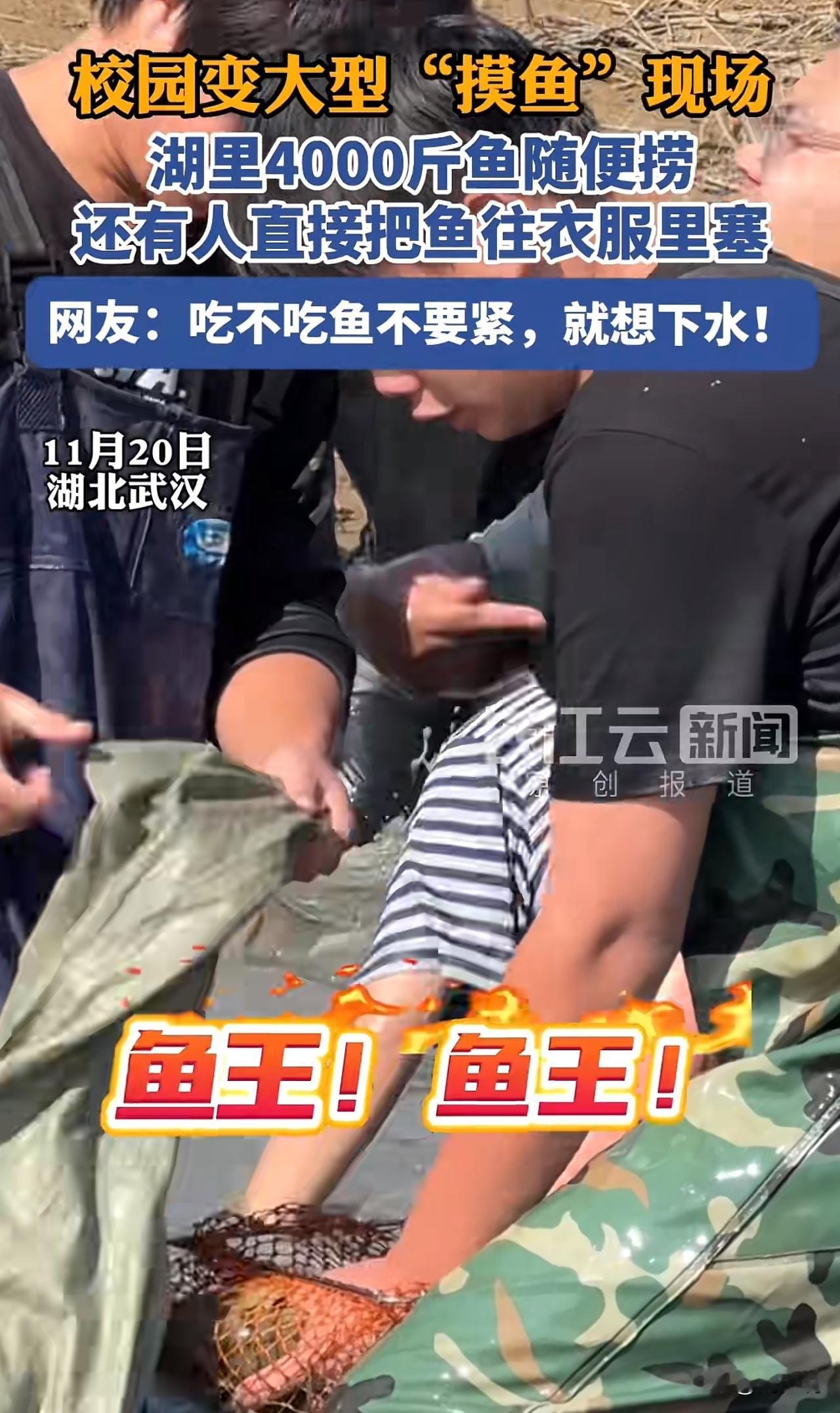 #武汉一高校4000斤鱼随便捞#太好玩了，校园变大型“摸鱼”现场！湖里4000斤