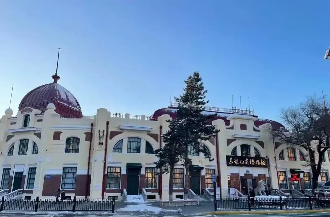 哈尔滨本地人私藏冷门景点，黑龙江省博物馆。
 
来哈尔滨别只盯着冰雪大世界，这家