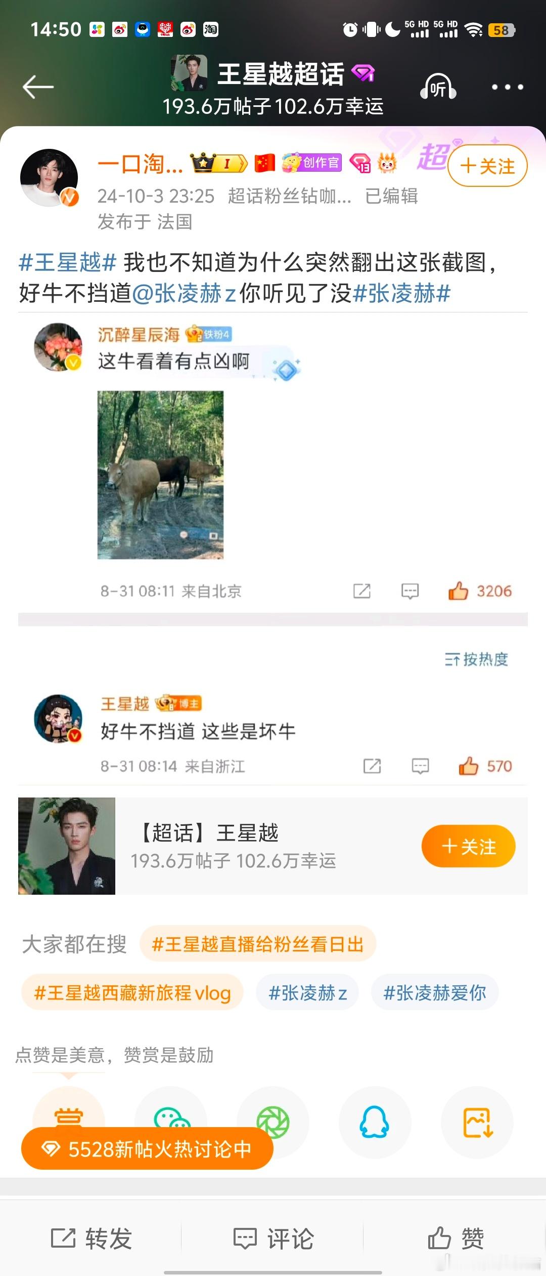 王星越：“好牛不挡道，这些是坏牛”粉丝现在翻出来内涵张凌赫[允悲] ​​​