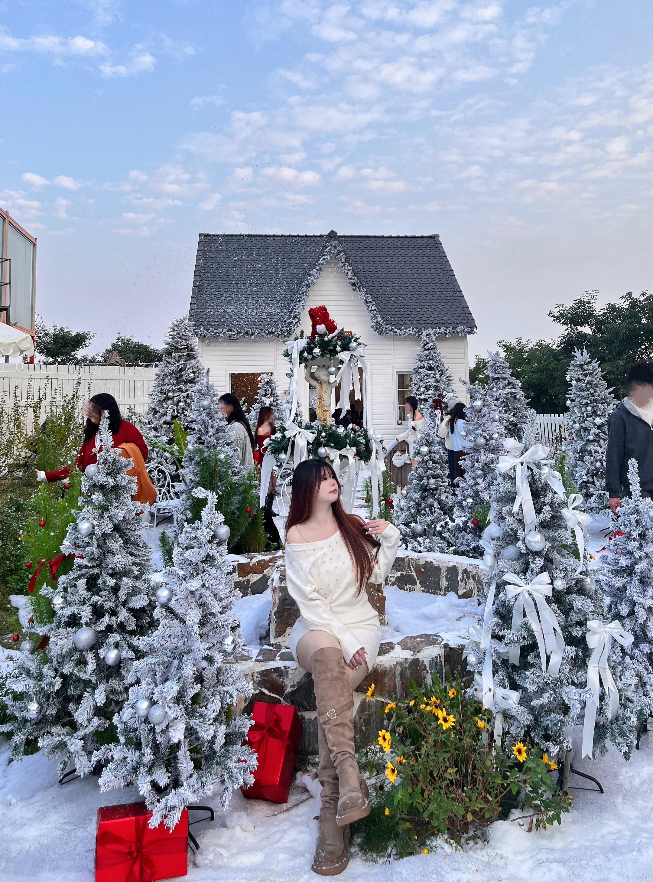 ⋆ ☆₊⋆ 🎄 ⋆*☆*🧣⋆·˚ ༘ 🍎十二月系上了圣诞结