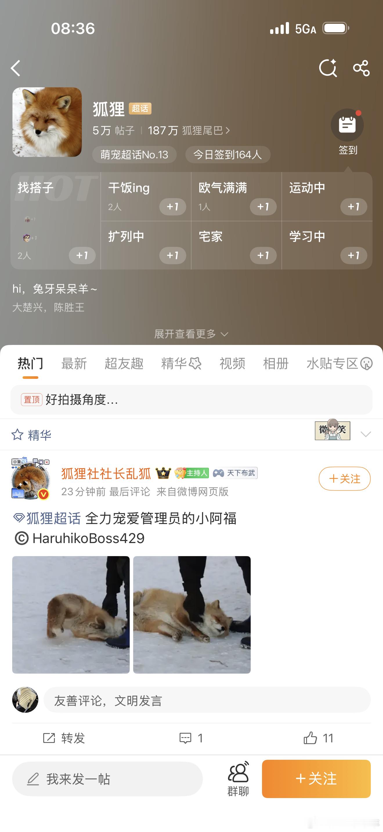 谁懂我刷到这个ch被萌成什么了 