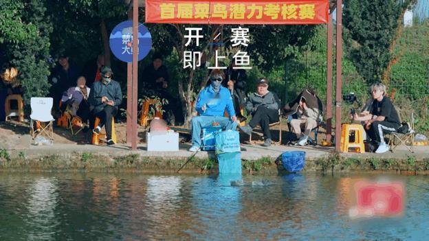 内娱首档摸鱼综艺开播 全体起立，终于等到《菜鸟与大鱼》定档，全员人均梗王来的张口