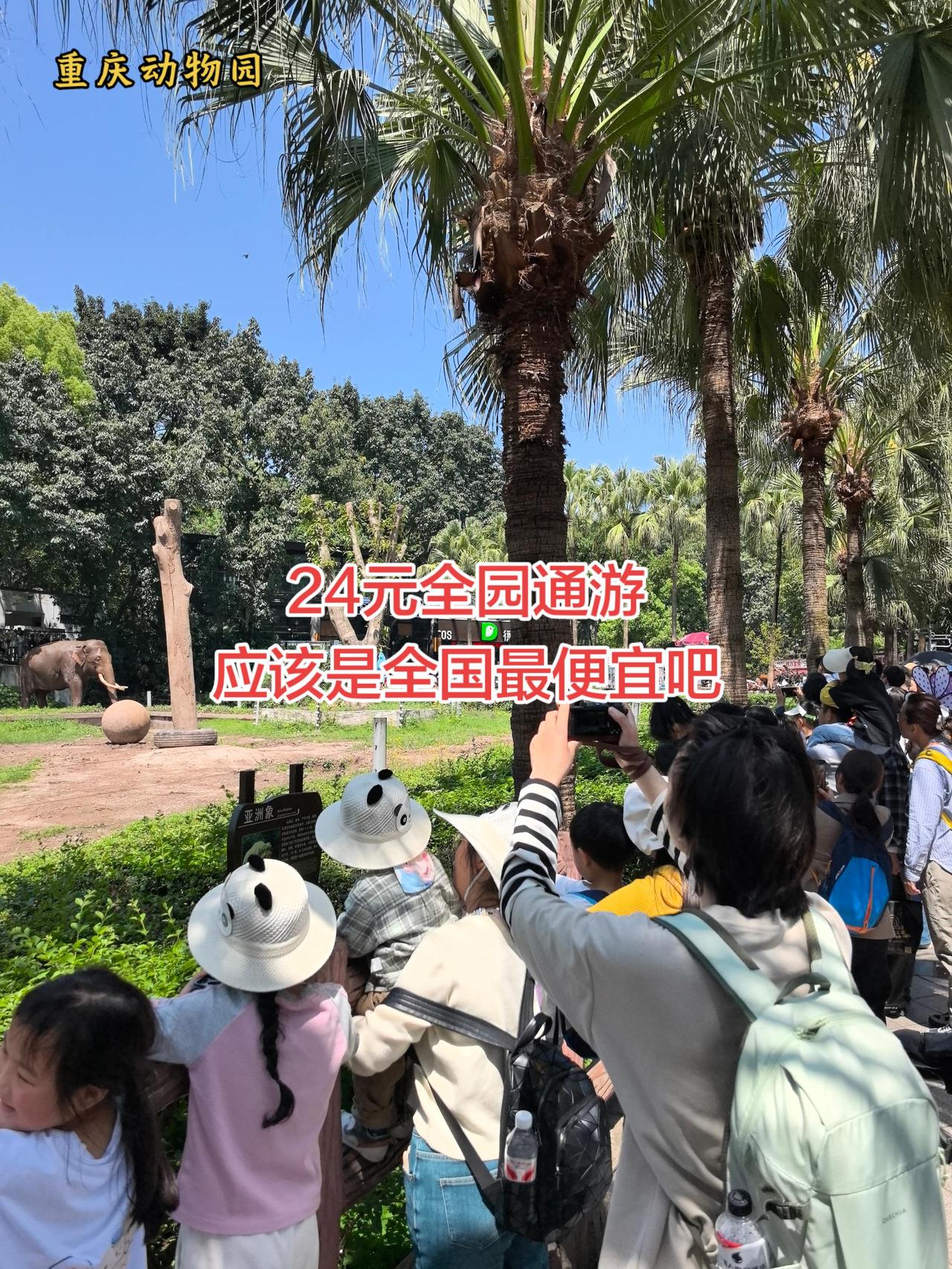 24元通玩，应该是全国最低价格了！