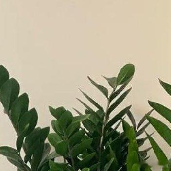 有一种人生，虽经历千回百转，依然生动。拉开人生舞台的帷幕，听流年如歌，或悲或喜，