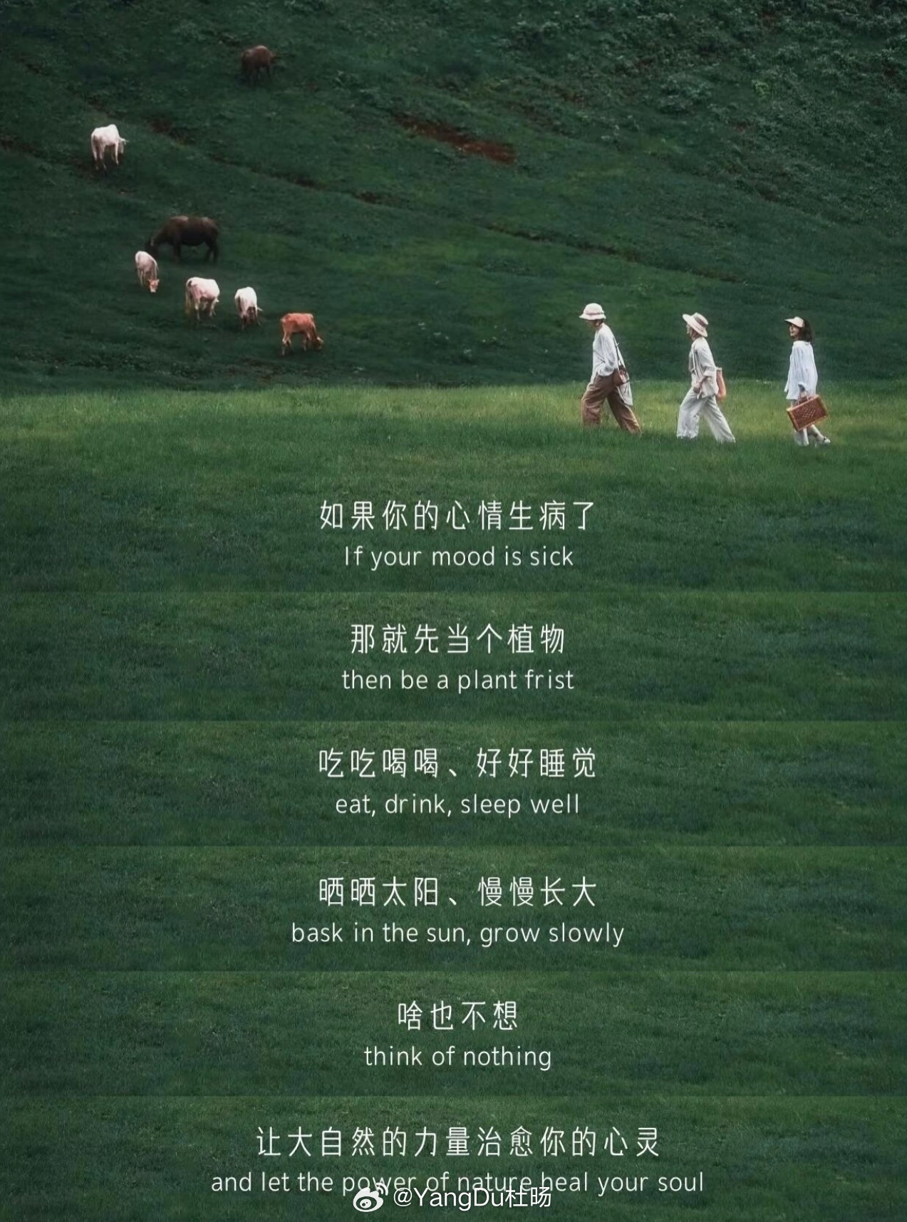 看见，接受，无条件的去爱…那个住在我们心里的小孩，那个小小的自己。Healing