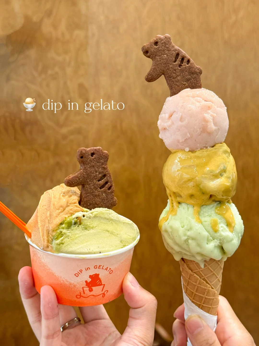 杭州gelato竞争也太激烈了……🍨dip也来了